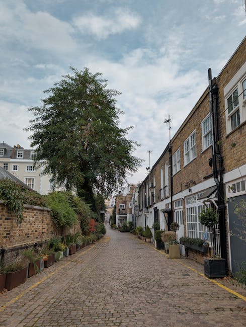 A narrow cobbled street in Wimbledon Village with tall brick terraced houses on the right side, featuring large windows and white window frames. Potted plants and small shrubs line the front of the houses, some placed on the pavement, while a large leafy tree extends its branches over the street from the left. The sky overhead is partly cloudy with patches of blue visible. In this image, there are no visible objects or furniture related to house removals or moving processes, but it depicts the residential environment where home relocation services by Wimbledon Man and Van could take place, emphasizing the tight streets often encountered during furniture transport and packing and moving activities.